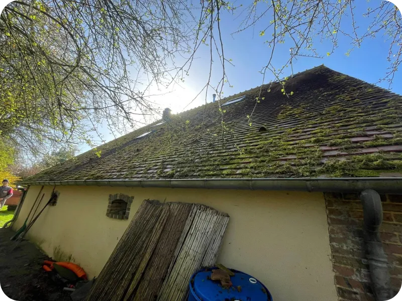 before-image