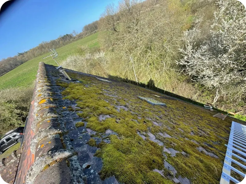 before-image