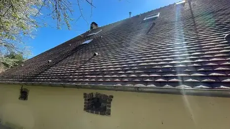 nettoyage toiture Dollon-5