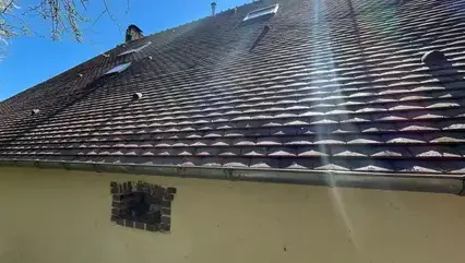 nettoyage toiture La-Ferté-Bernard-5